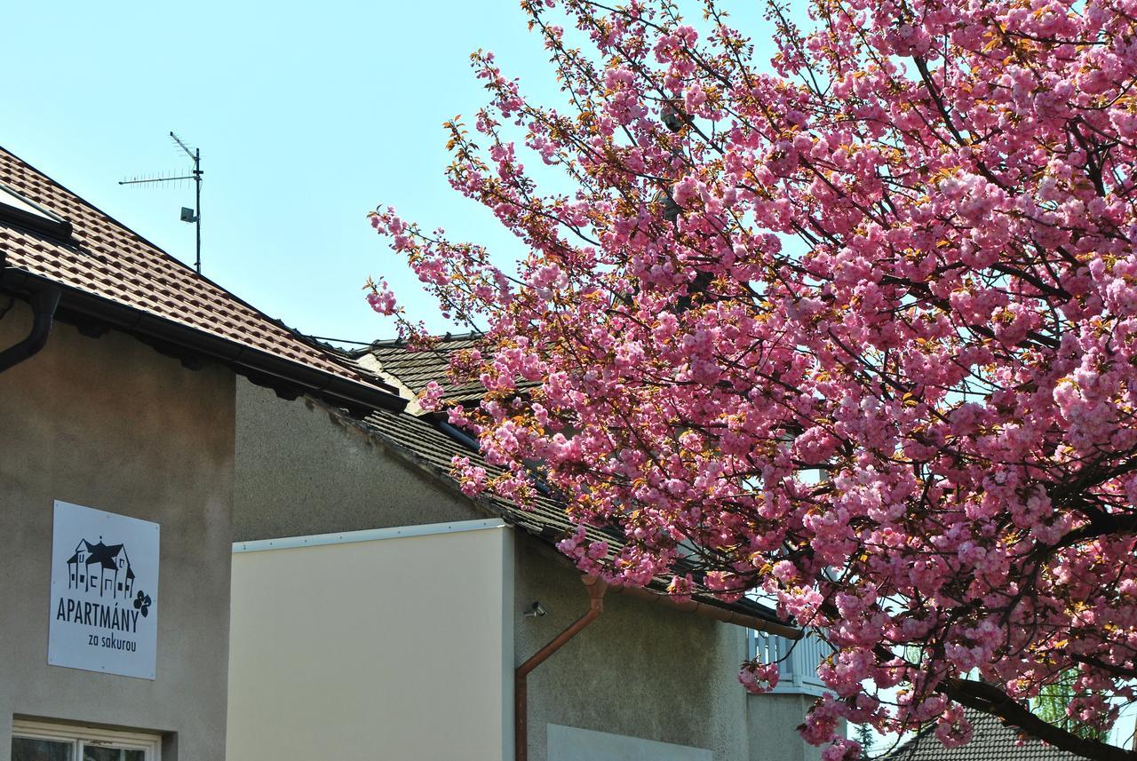 Apartmany Za Sakurou Hodonin Luaran gambar